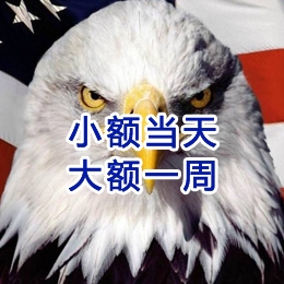 镇沅要账公司